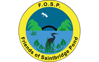 Friends of Saintbridge Pond